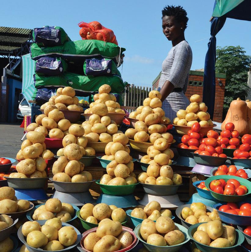 Invisible entrepreneurs: Recognising women traders in South Africa's hustle economy