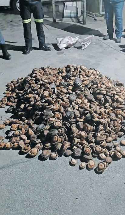 Suspected trafficker arrested in Worcester with R1.8m worth of abalone