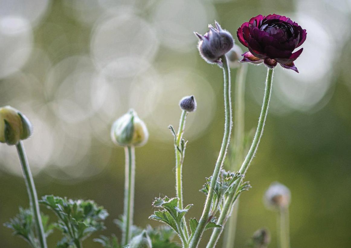 A time for renewal: How SMEs can streamline processes for a more seamless operation