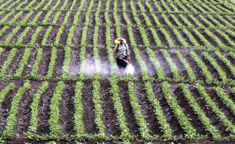 Department of Agriculture to fully digitise pesticide registration by 2026