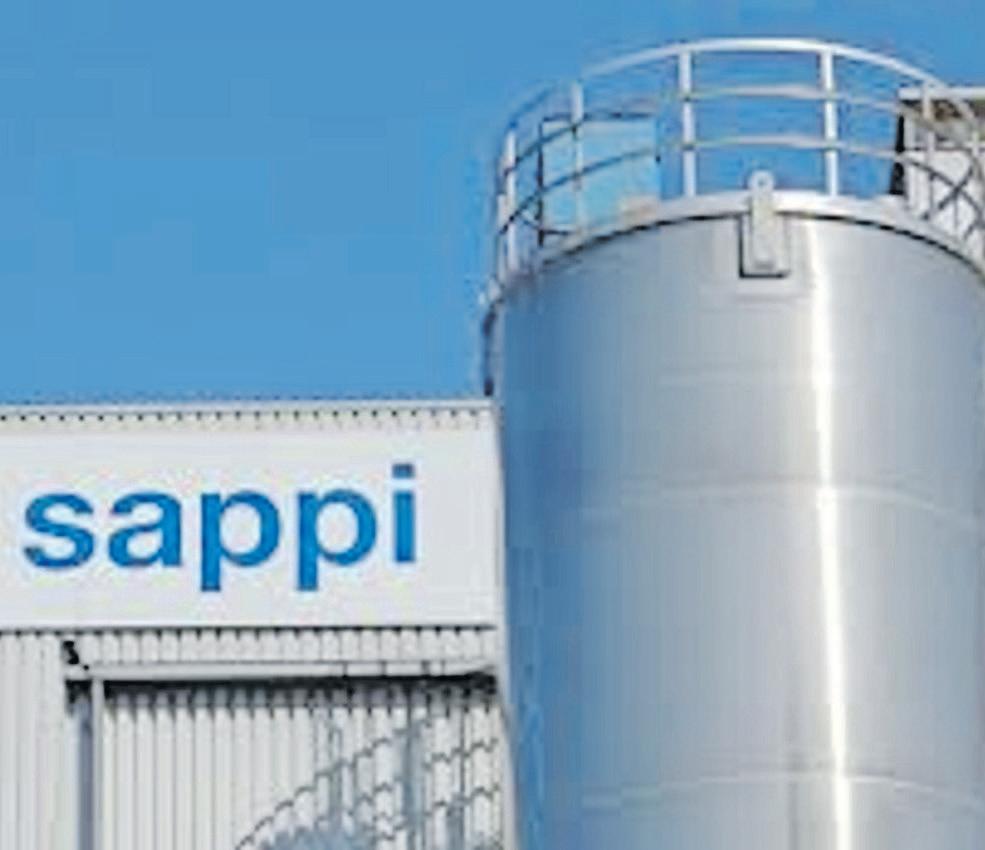 Sappi updates investors on financial strategies after third quarter results
