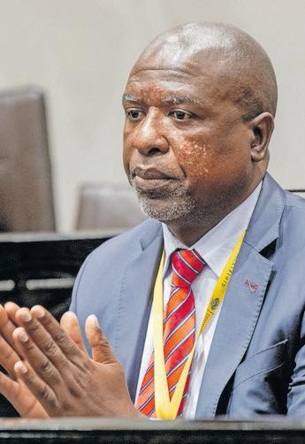 MPs can now quiz witnesses on Phala Phala report