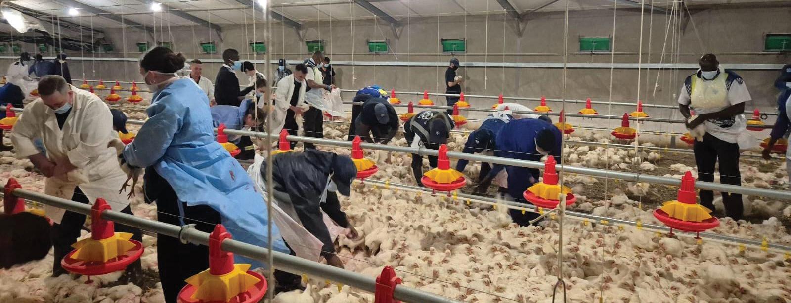 PIC hails Daybreak Foods as a model for business rescue success amid turnaround progress