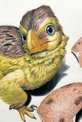 Dinosaur eggshells unlock a new way to tell time in the fossil record