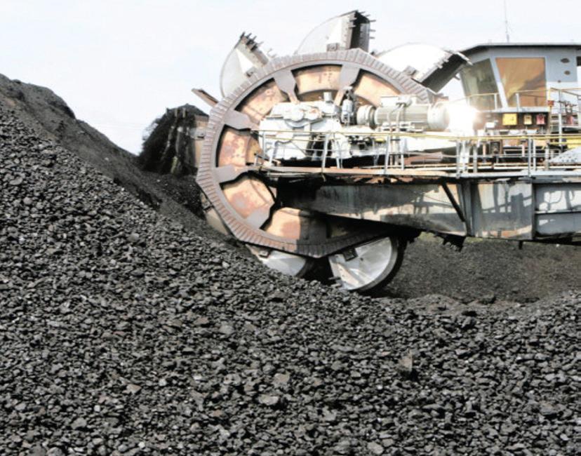 Agri-processing and basic service delivery as foundation for a just transition in Mpumalanga