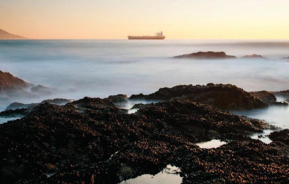 South Africa-Europe shipping route could run on green ammonia by 2029: Study