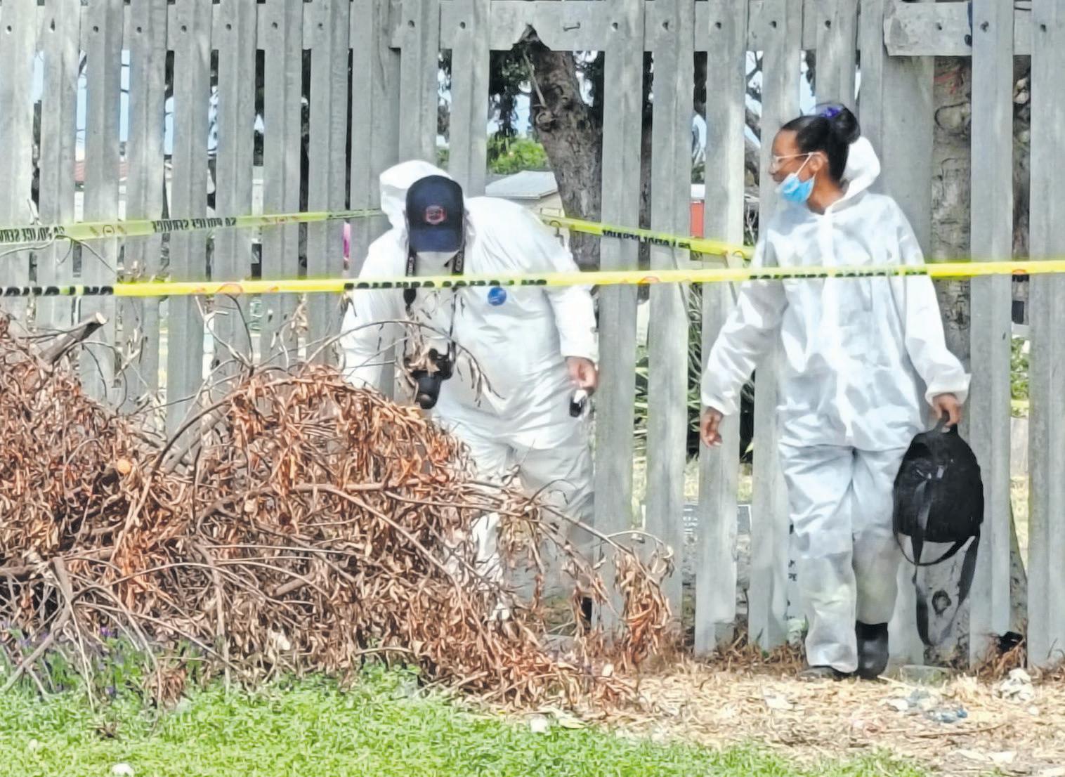 Suspect arrested over the murder of mother-to-be buried in shallow grave