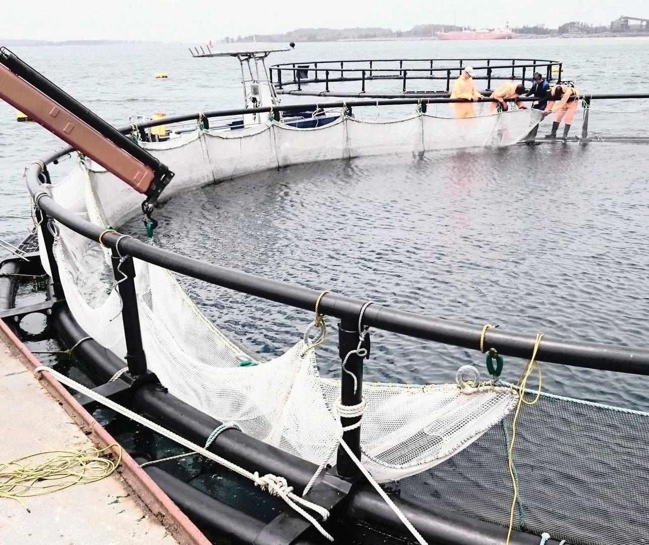 Transforming agriculture: How tech is shaping South Africa's farming future