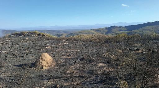 Wildfires take toll on already stretched Western Cape resources