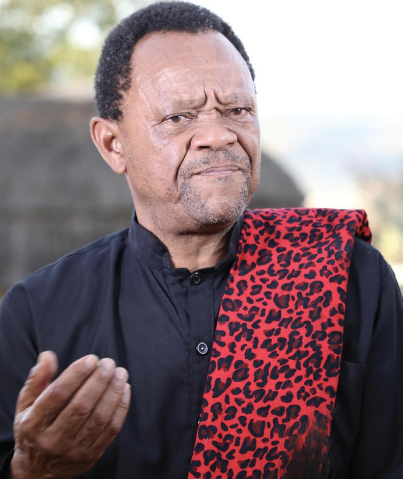 Prof Mkhize recognised for groundbreaking work in indigenous African health