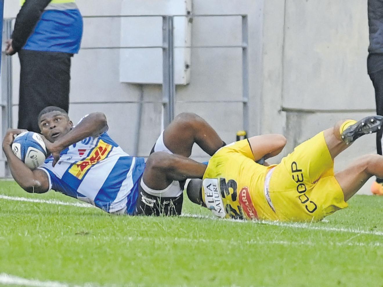 Stormers face race against time to keep Maart from returning to Griquas