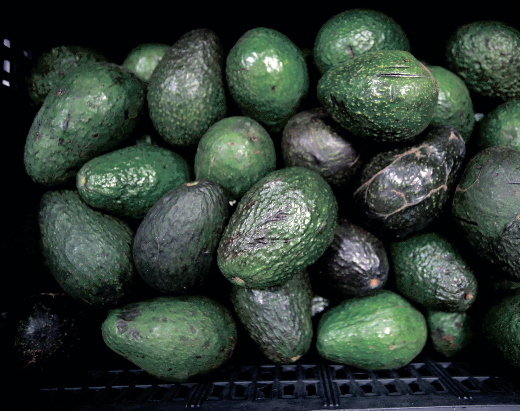 Tanzania's threats to South Africa's agricultural exports are possibly misguided