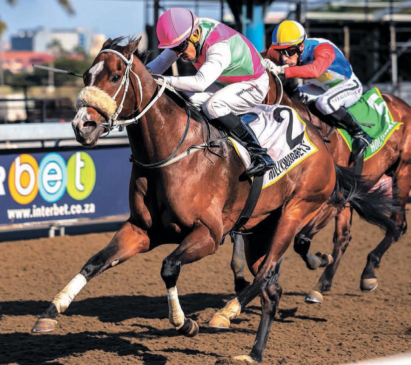 Plumbago Park set to blossom