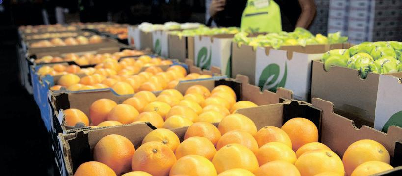 China eyes increase in South African agricultural imports, says Agbiz