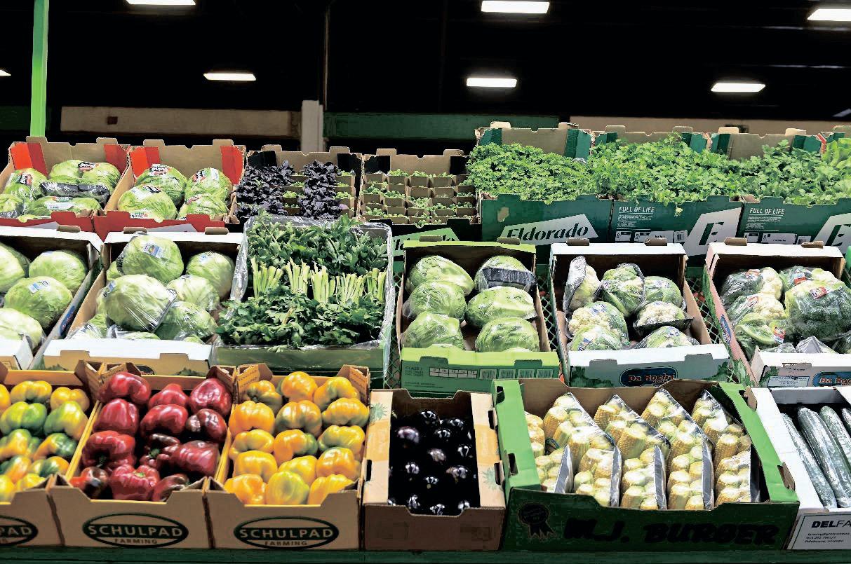 Johannesburg to host WUWM conference, focusing on Africa's fresh produce ambitions