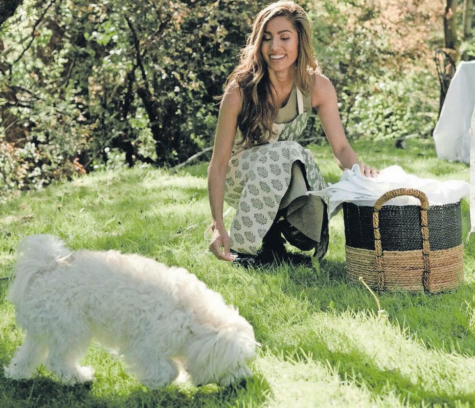 Essential tips for washing your pet's laundry safely