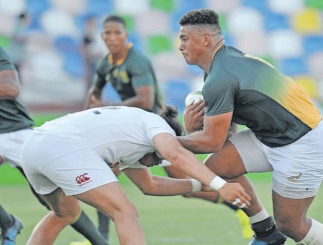 'Trokkie' has the tools to drive Springboks at No 8