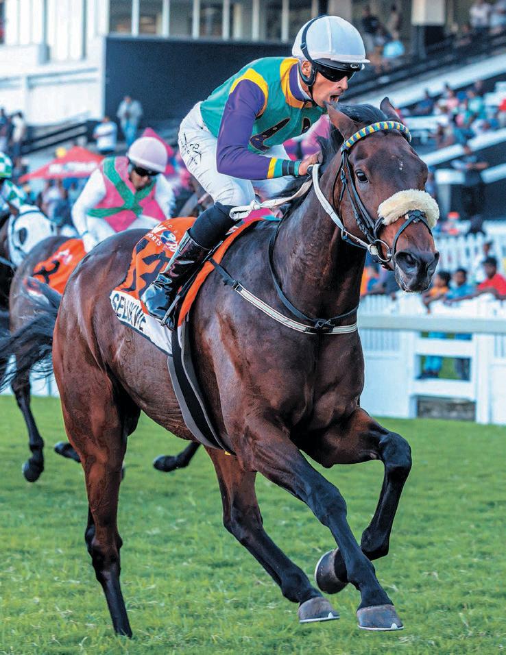 July is chrome-plated for Selukwe