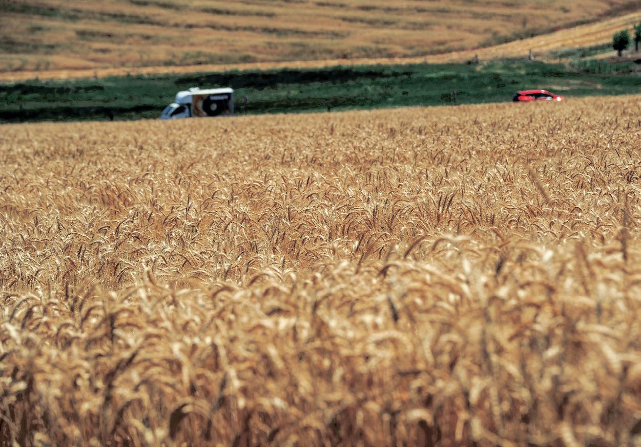 Nampo Harvest Day kicks off, spotlighting the future of South African agriculture