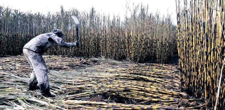 Tongaat Hulett's business rescue: Vision Consortium secures funding for lenders