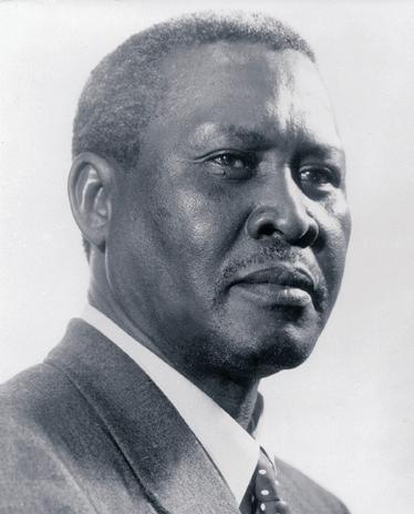 Forensic pathologist critiques post-mortem findings on Luthuli's death