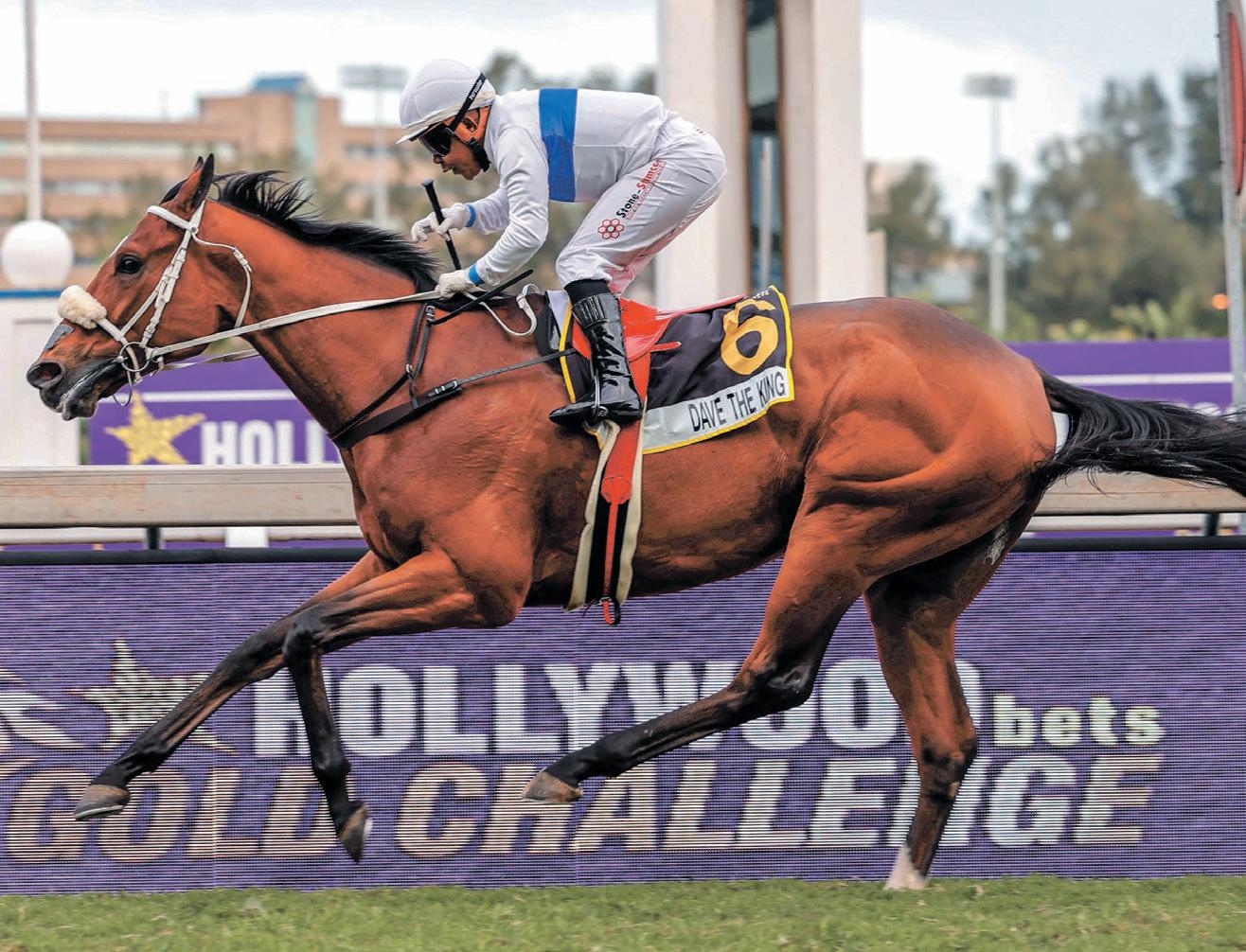 Is Dave The King ready for battle?