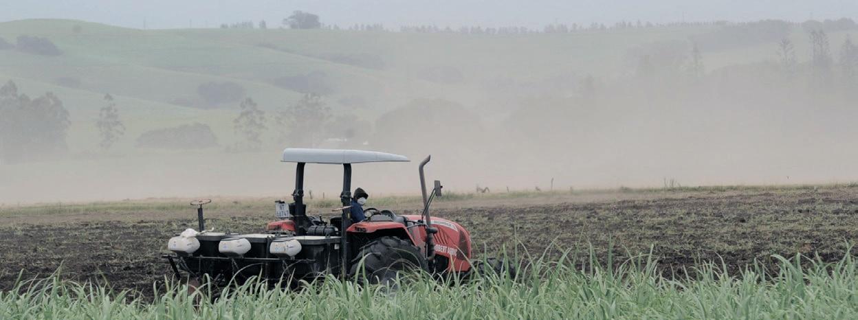 Rethinking the sugar tax in the time of global uncertainty: focus should be on jobs and the economy