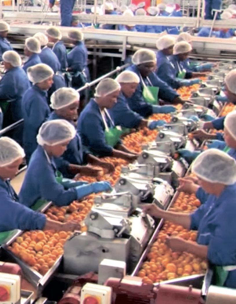 Tiger Brands secures future for 3 000 farm workers with sale of Langeberg fruit business