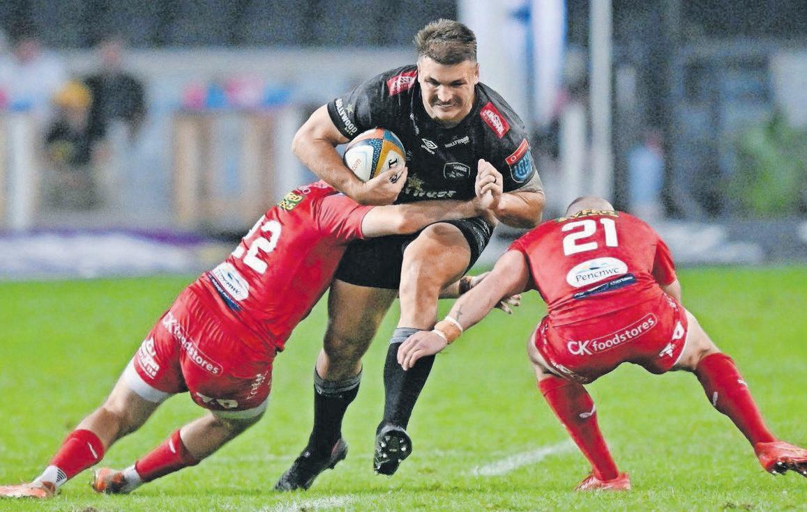 Esterhuizen: Sharks one click away from gelling on attack