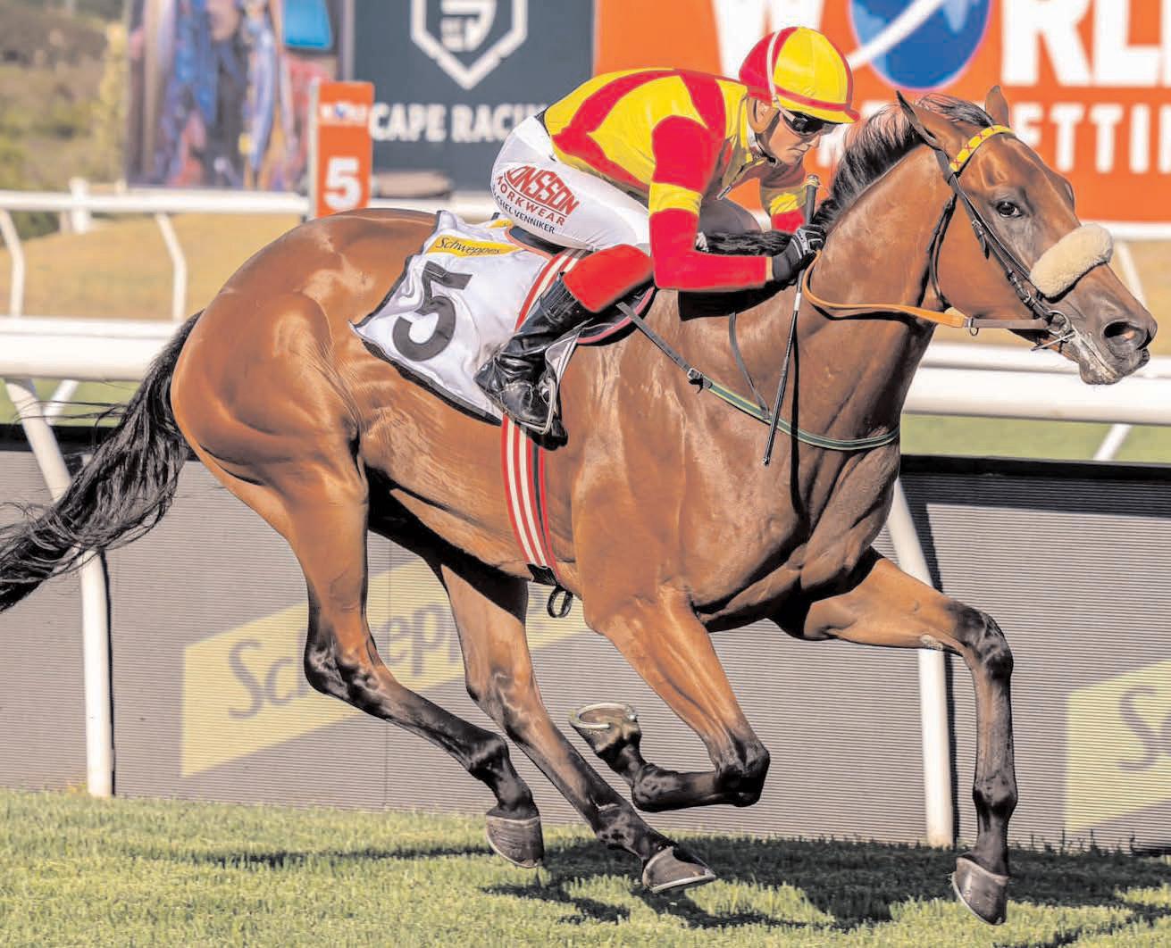 Snaith to give good counsel