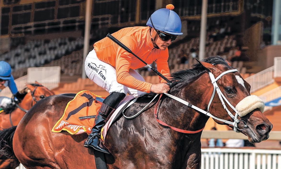 King Of The Gauls has the magic potion