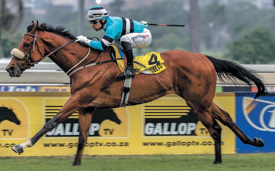 Cherry Oh Baby is on trial