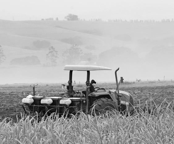 The real meaning of food security in South Africa