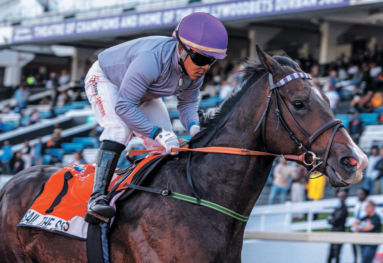Significant scratchings from the Hollywoodbets Durban July
