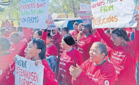 Research reveals alarming pesticide poisoning statistics