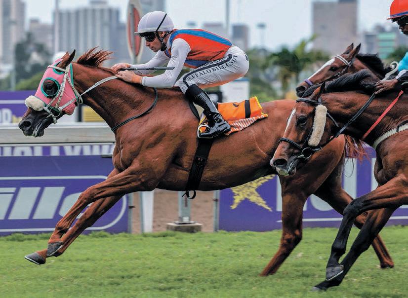 Wing Walker to put on a show