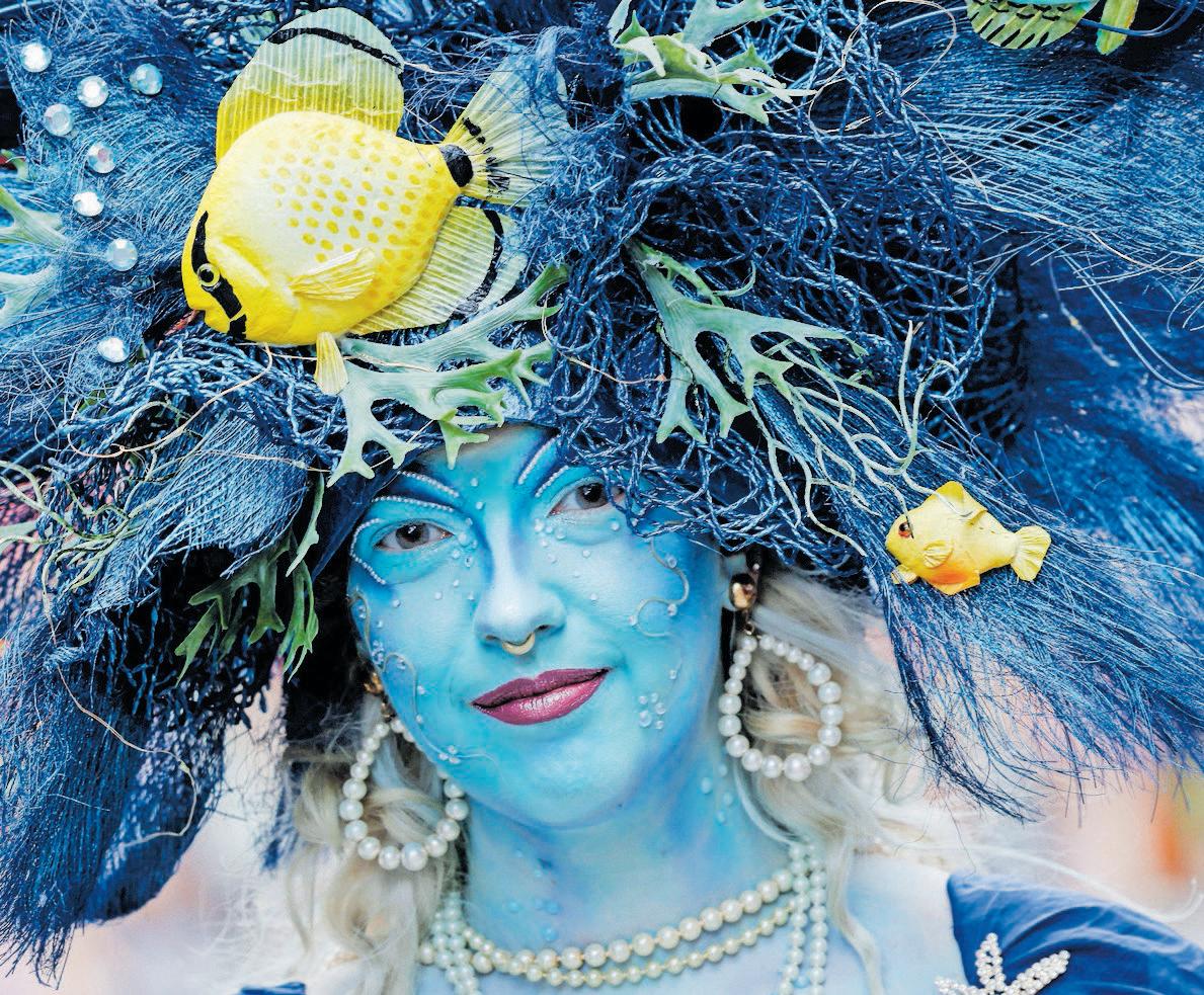 Freedom Charter is a blueprint for communism