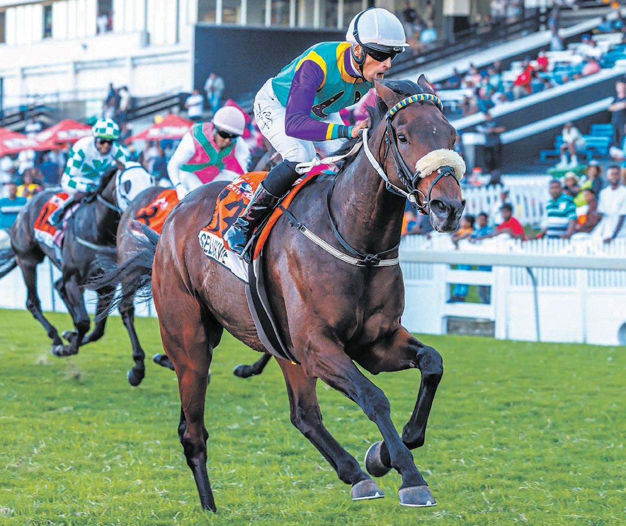 THE HOLLYWOODBETS DURBAN JULY - THE WORLD WILL BE WATCHING!