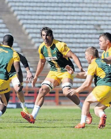 Rassie’s Springboks embrace evolution as Italy clash beckons in Pretoria