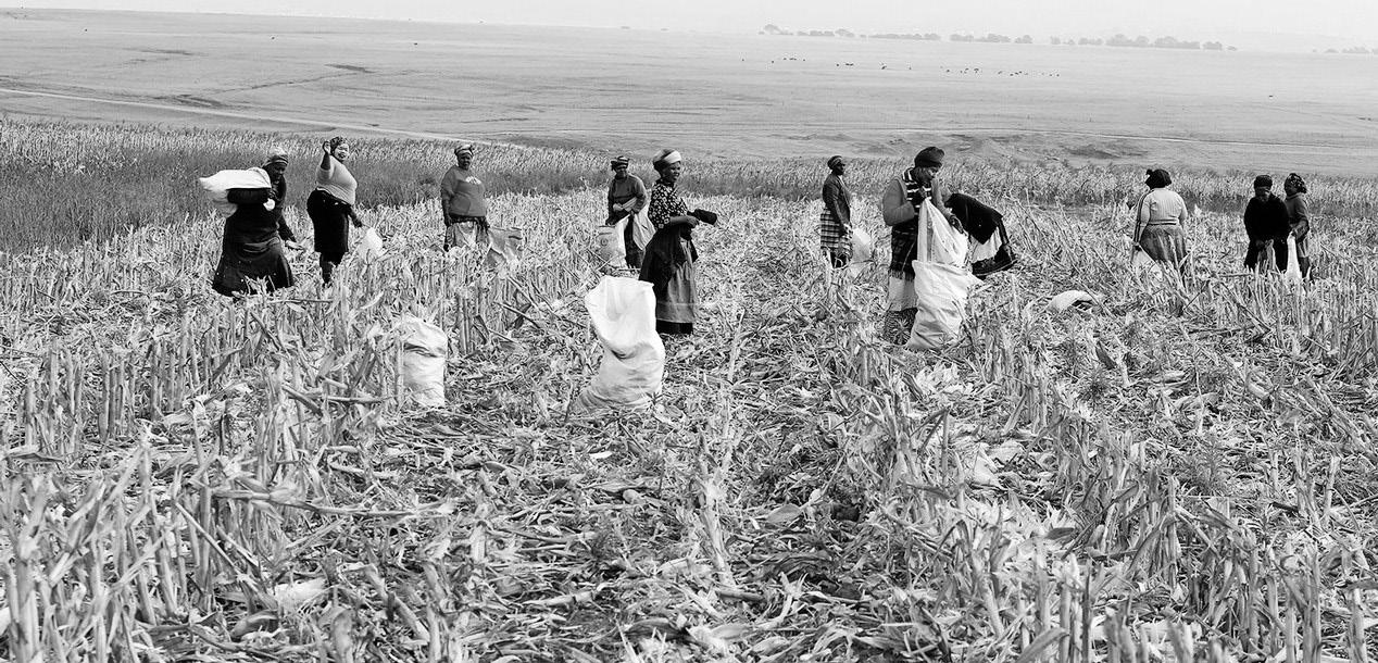 The hidden costs of $1.5 billion World Bank loan