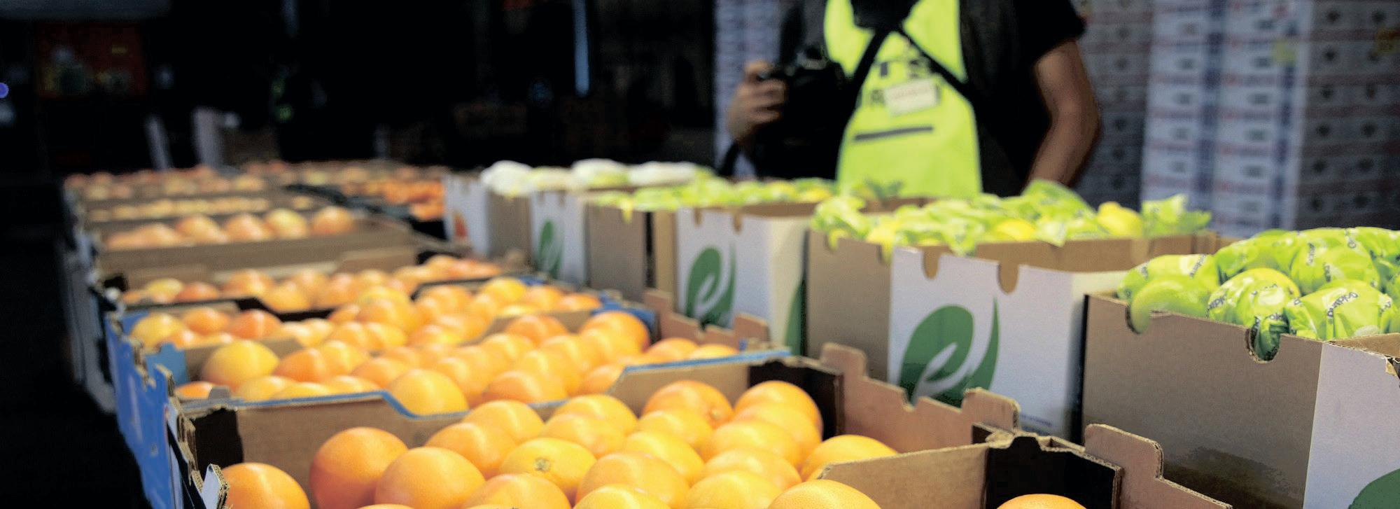 Economic downturn signs emerge as South Africa's PMI drops to 50.1