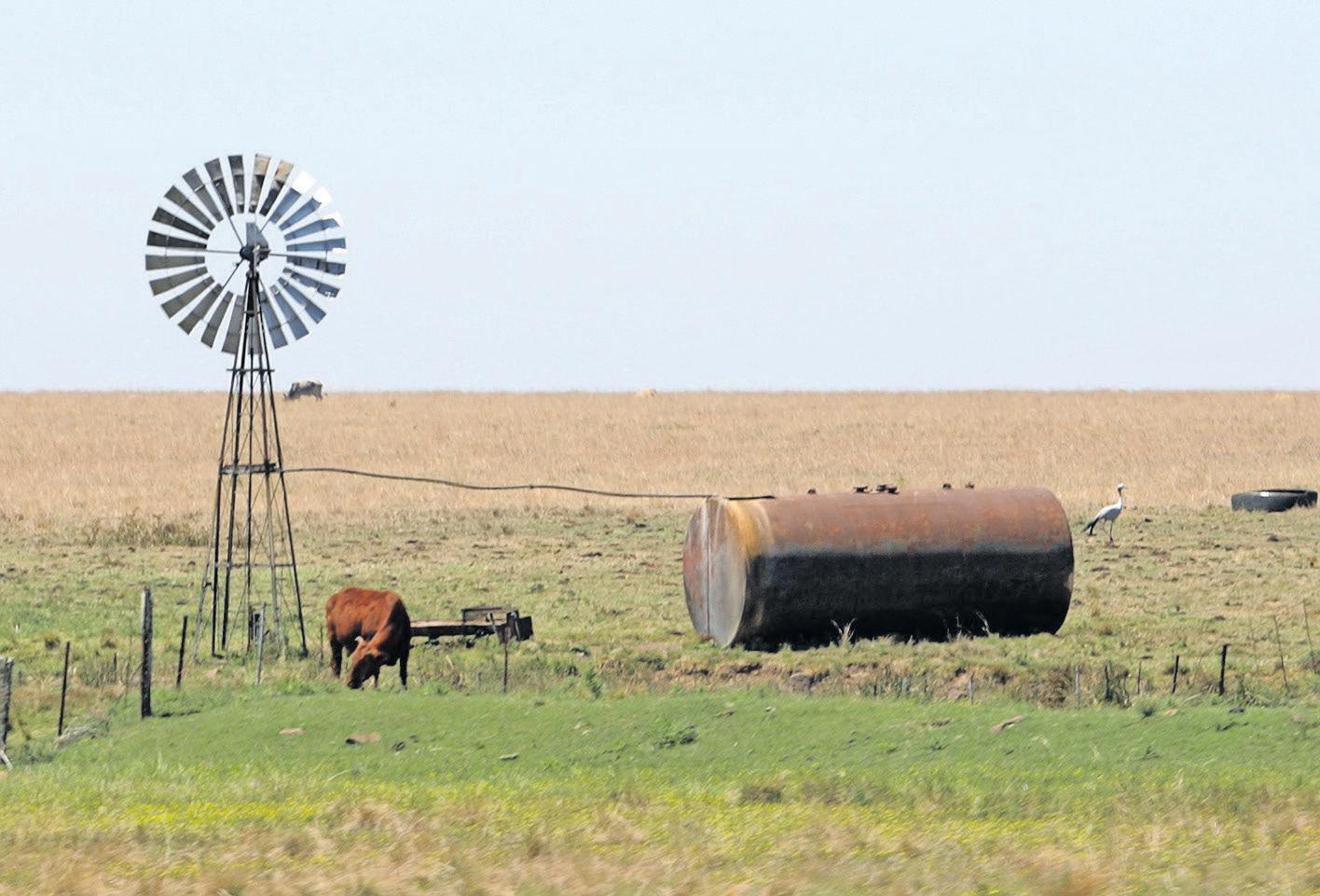 Land reform challenges hindering black farmers from thriving in South Africa