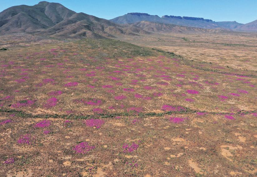 Concerns escalate over Vaalputs nuclear waste facility upgrade's impact on agriculture