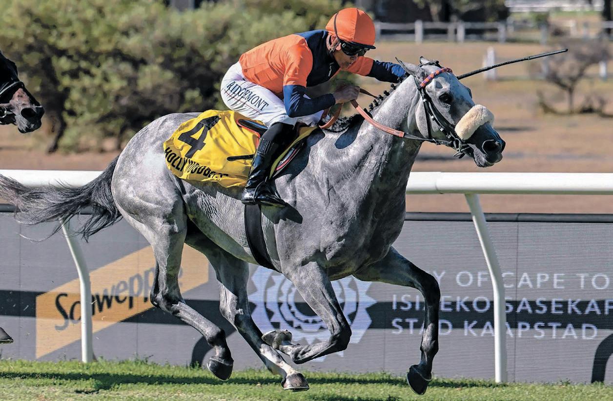 Dumbledore can wave his wand