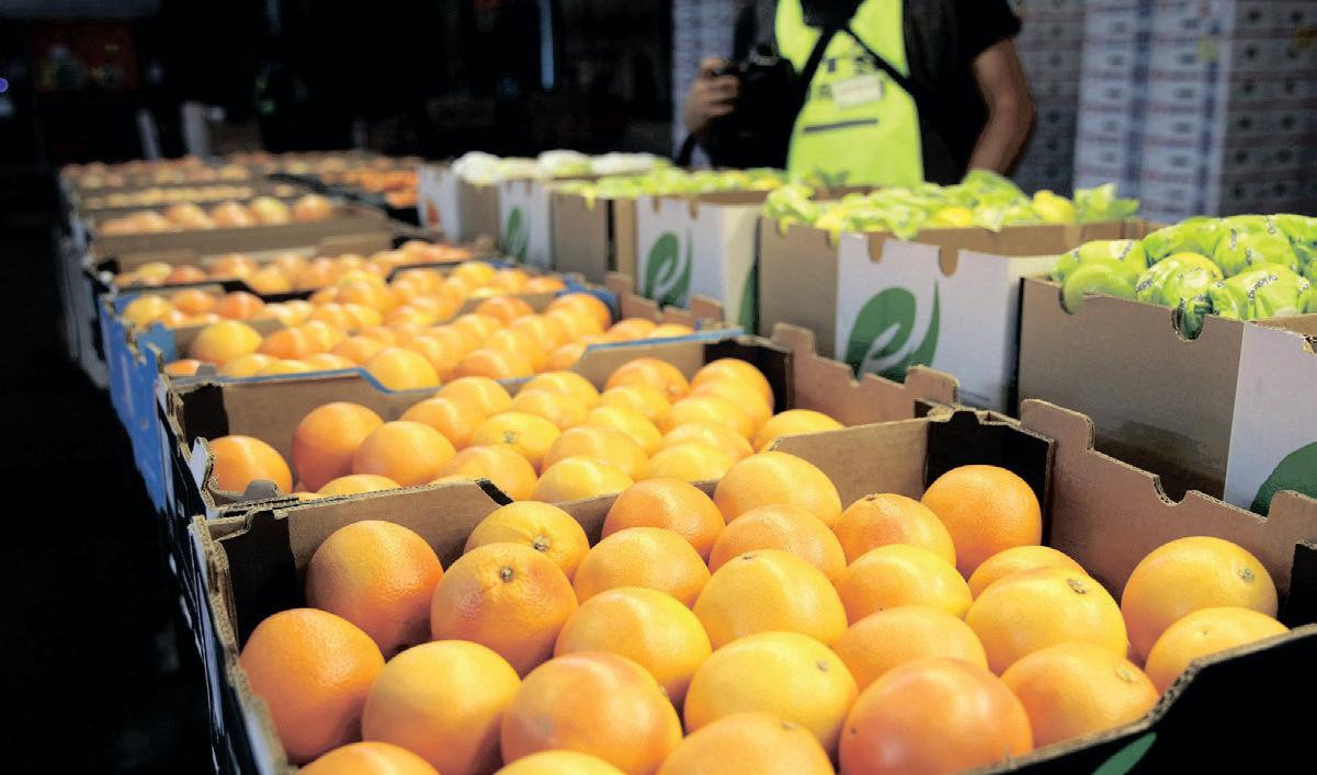 SA citrus industry urge swift negotiations to exempt seasonal produce from US tariffs