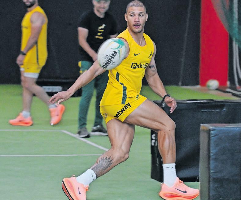 Van der Merwe: I didn't want to be a one-cap Springbok