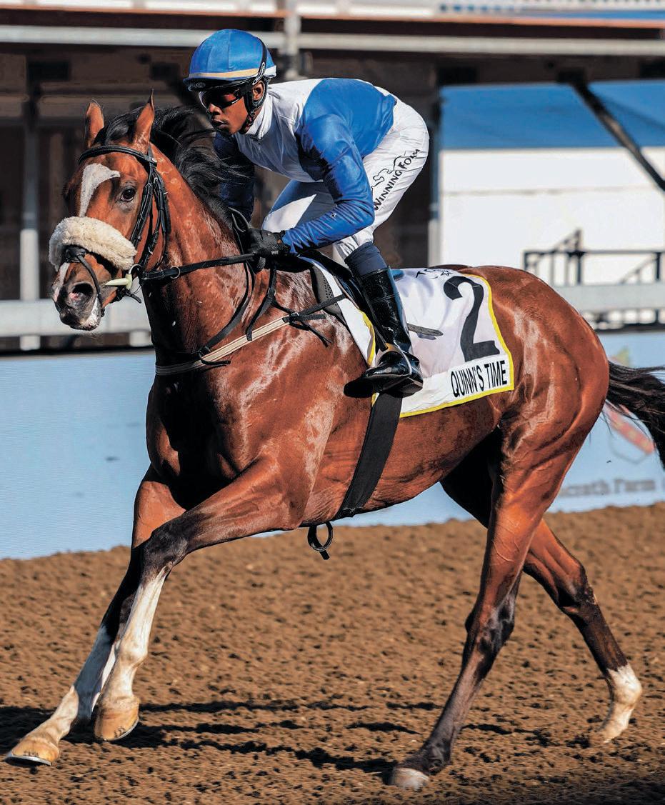 Take a chance on Gotta Go Eddie