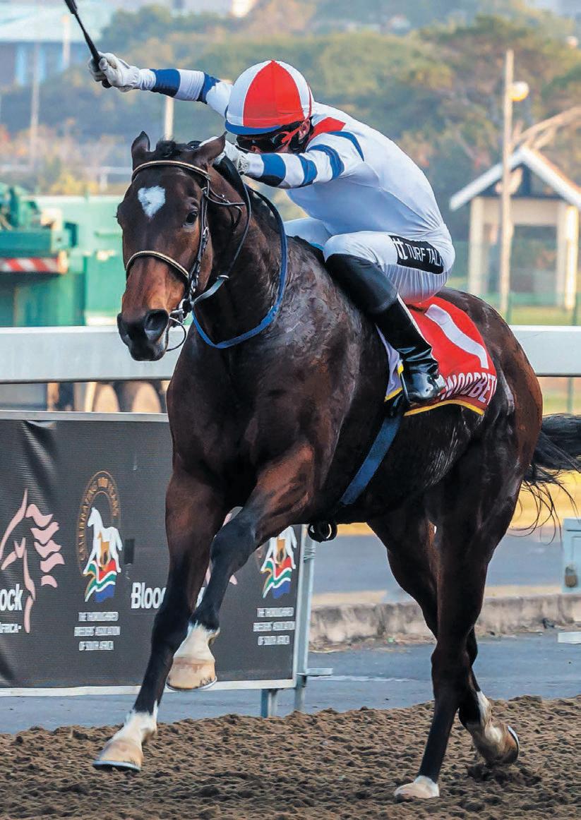 Woodruff walking on a wing