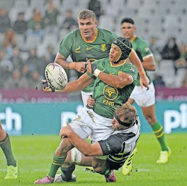 Arendse embraces healthy competition in the Bok squad