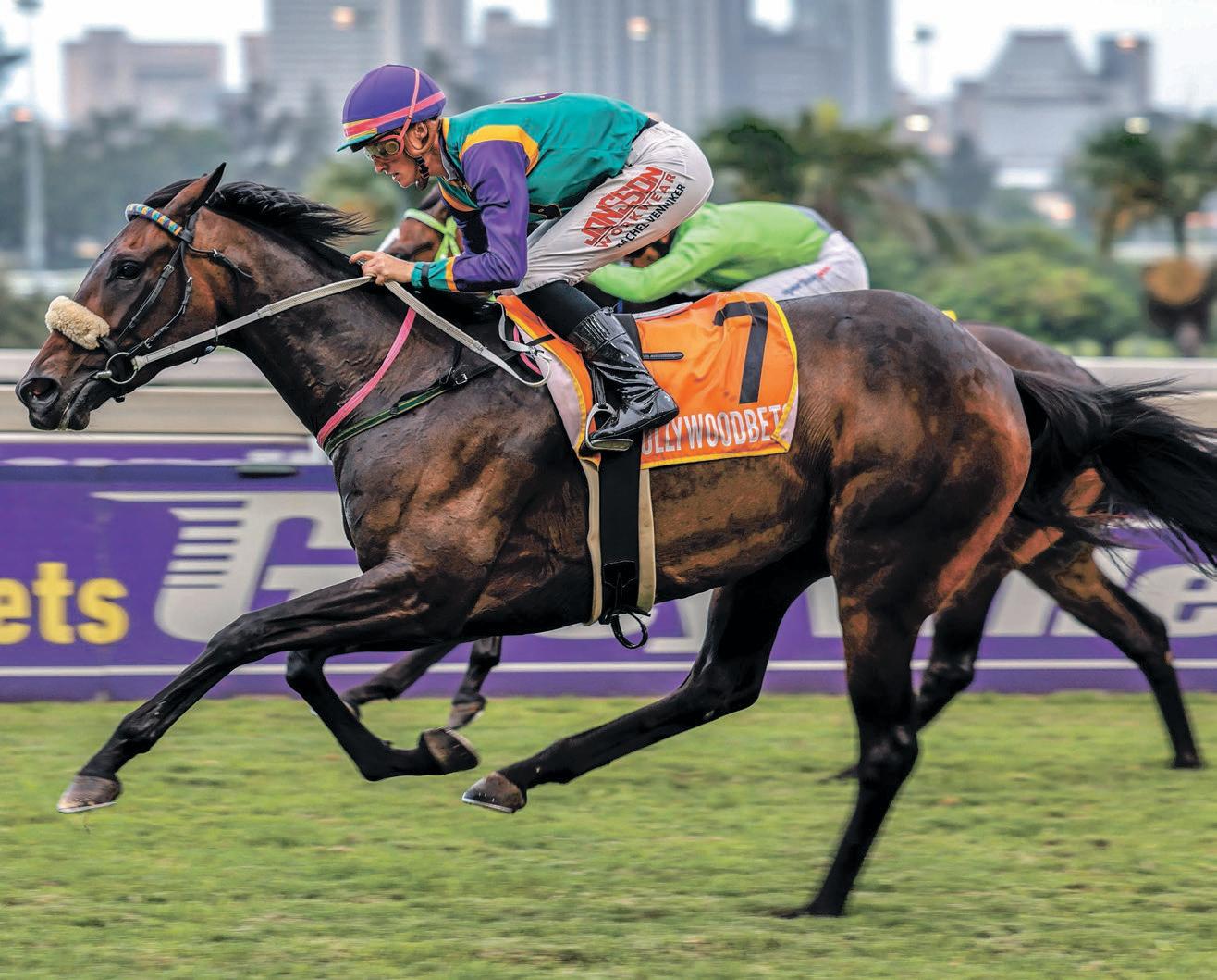 Flying South ready to fly home